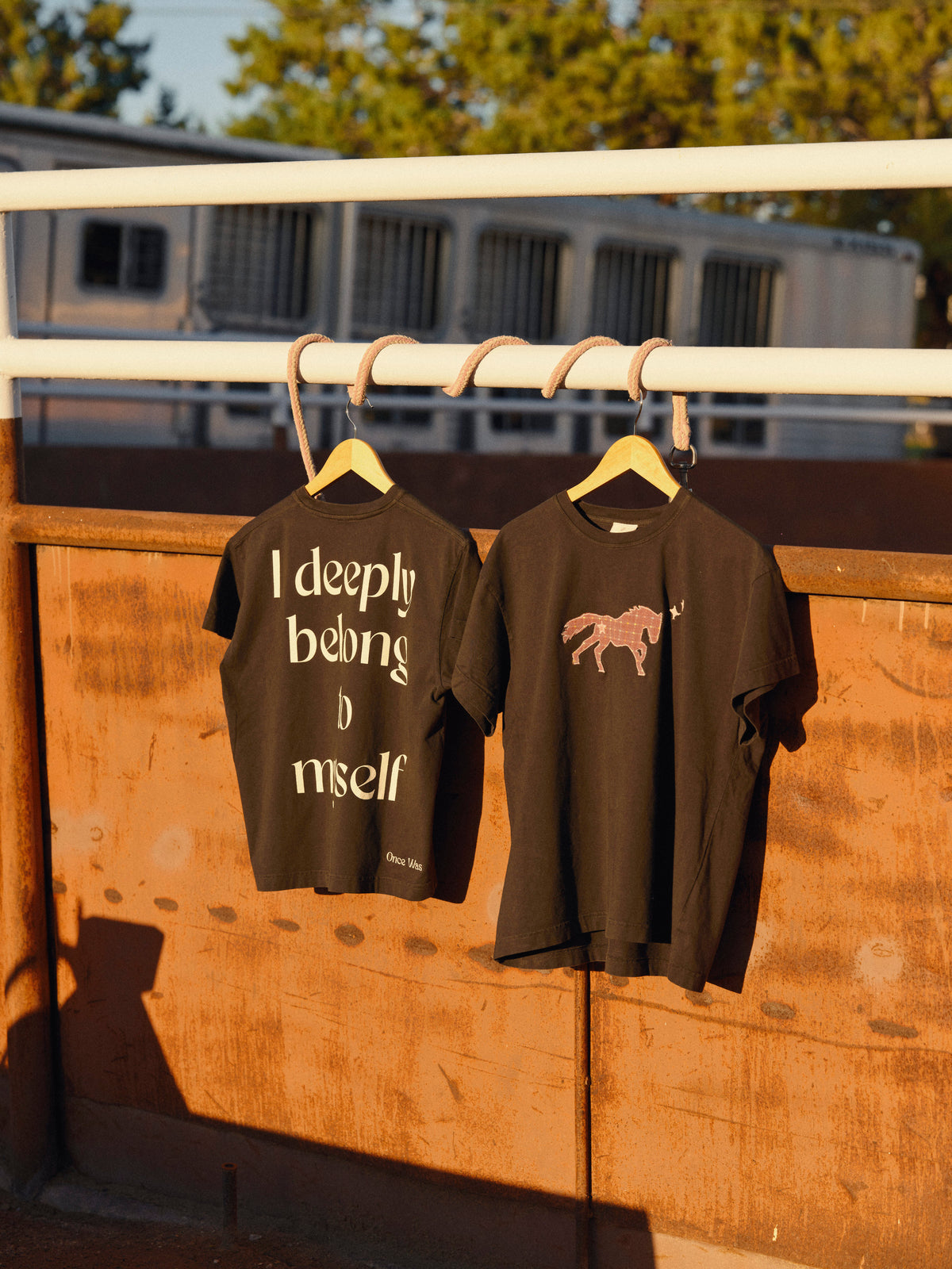 I Deeply Belong to Myself Boxy Tee